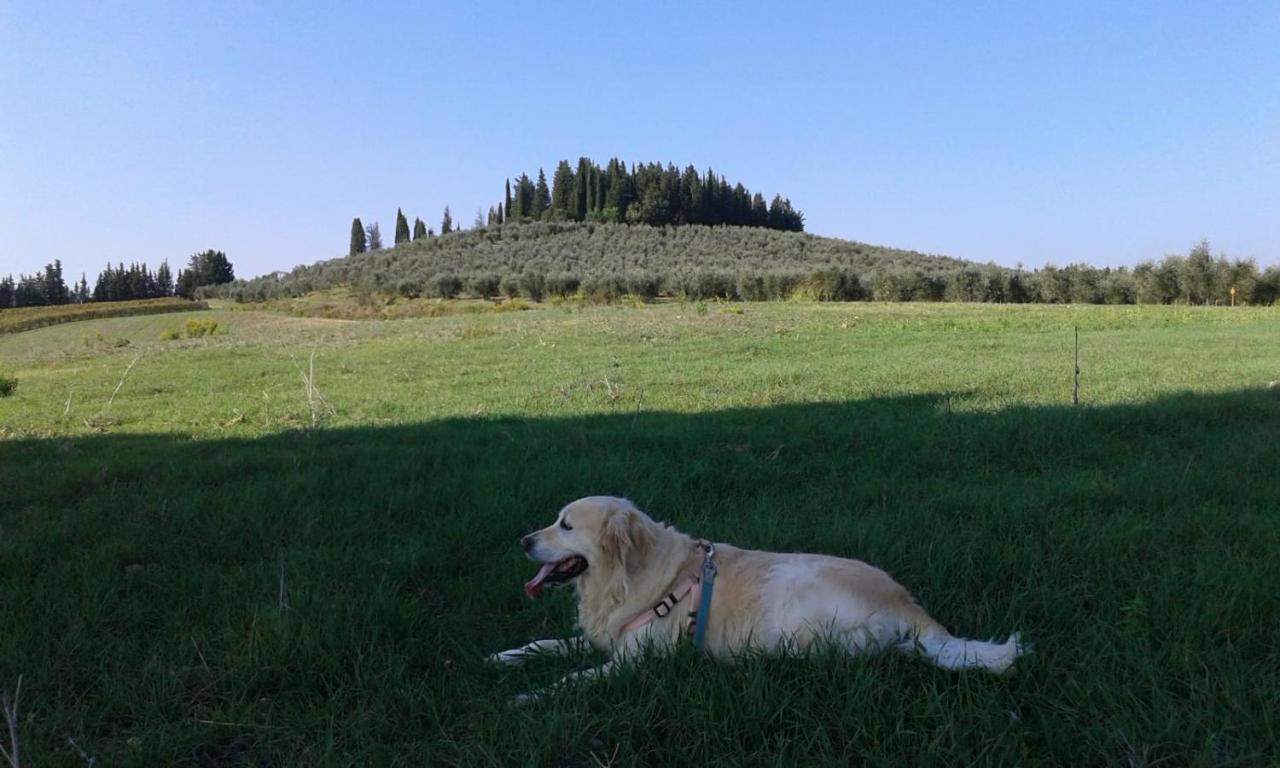 Dolce Cuore Luxe Apartment Chianti Florence Male Romantyczne Mieszkanie San Donato in Poggio Kültér fotó